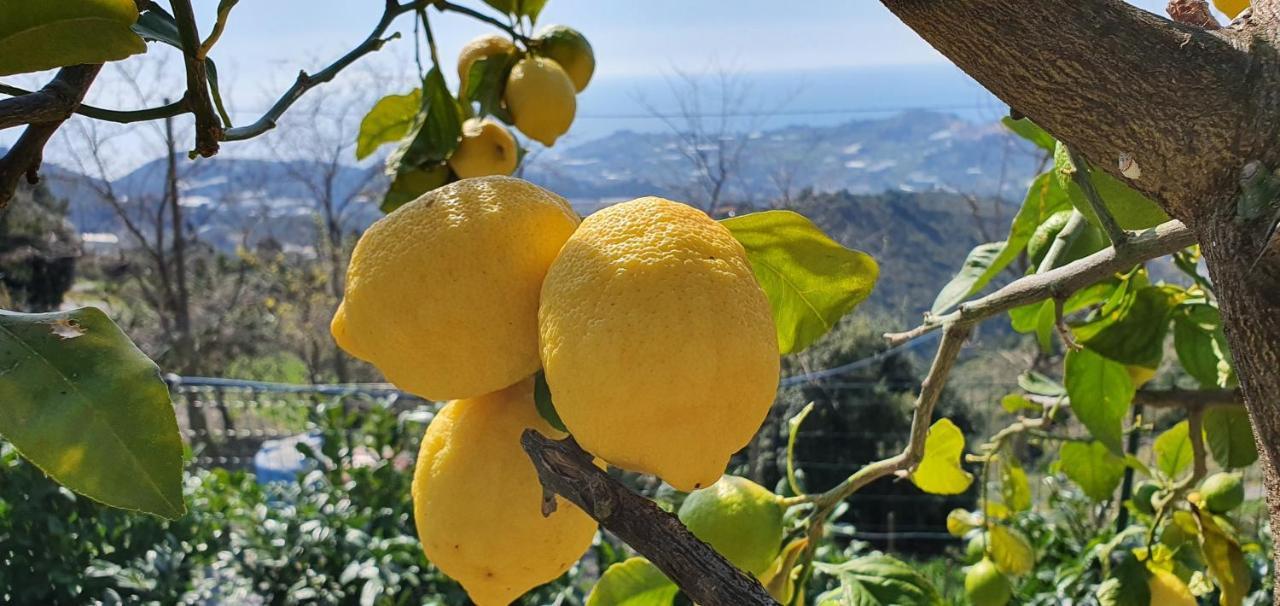 Bauernhof Agriturismo Sant'anna Sanremo