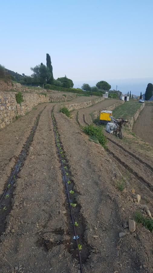 Agriturismo Sant'anna * Sanremo