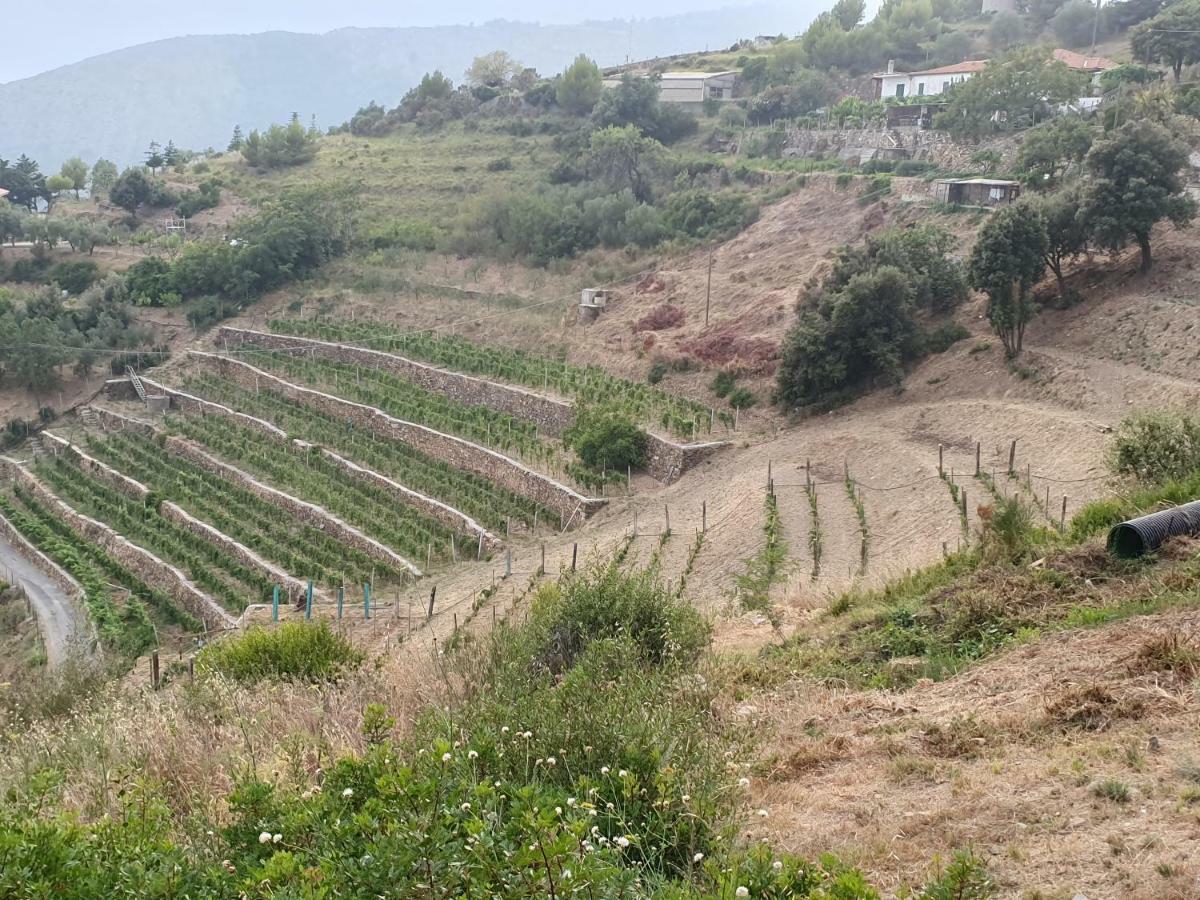 Agriturismo Sant'anna *