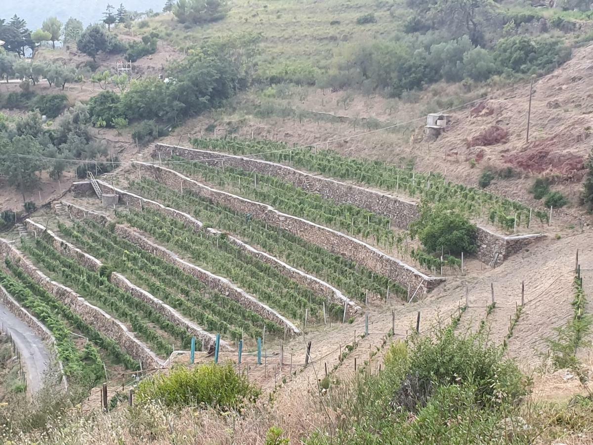 Agriturismo Sant'anna